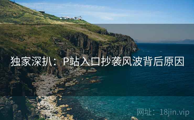 独家深扒：P站入口抄袭风波背后原因