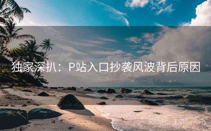 独家深扒:P站入口抄袭风波背后原因 独家深扒:P站入口抄袭风波背后原因