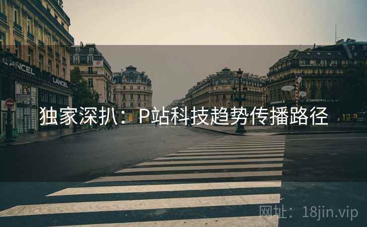独家深扒：P站科技趋势传播路径